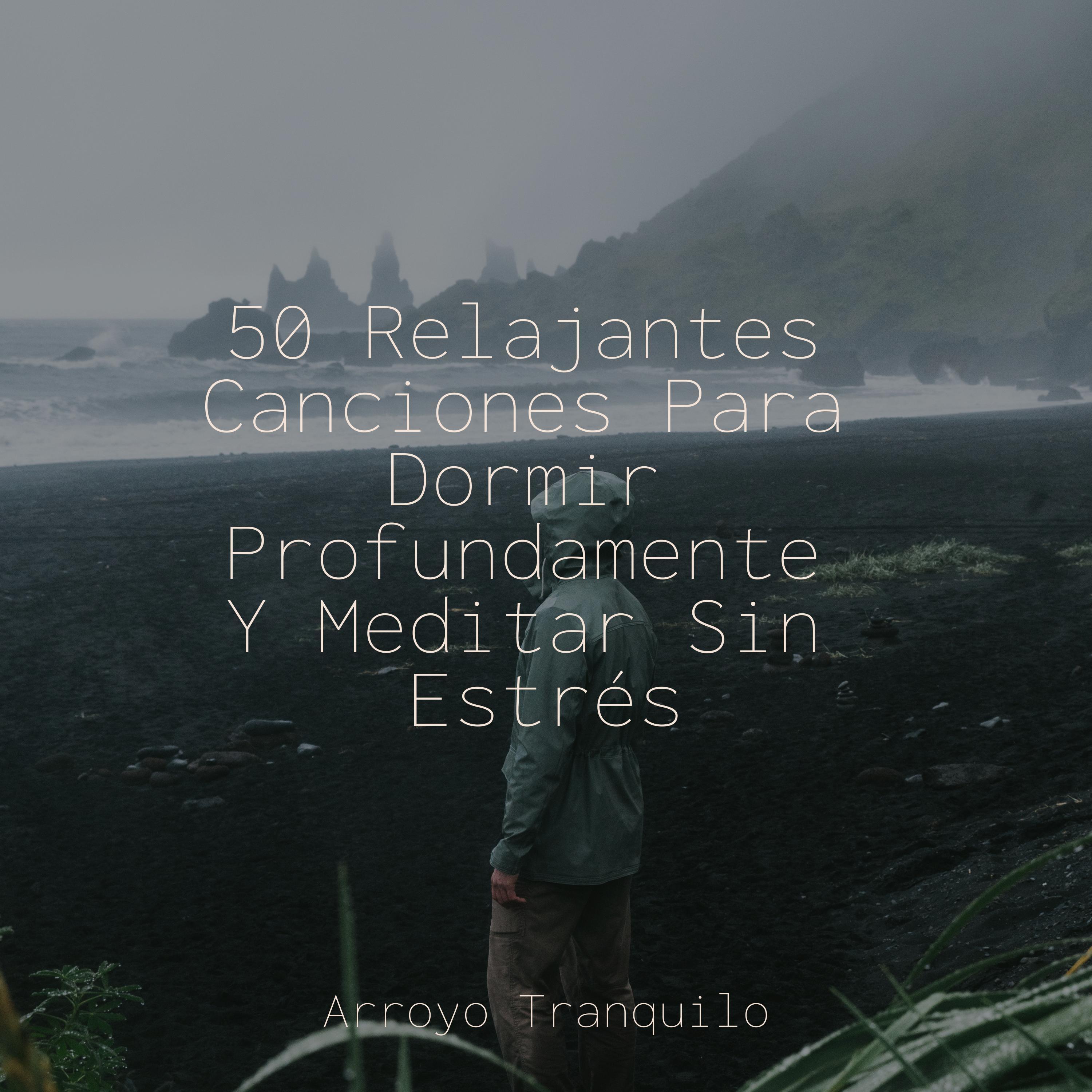 Maravillas Asombrosas_Sonidos de la Naturaleza Relax_50 Relajantes Canciones Para Dormir Profundamente Y Meditar Sin Estrés | 在线播放_Maravillas Asombrosas歌词_Maravillas Asombrosas下载 | 网易云音乐