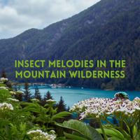 Insect Melodies in the Mountain Wilderness