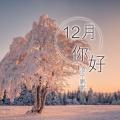 别爱我没结果除非花手摇过我 (DJ版)封面