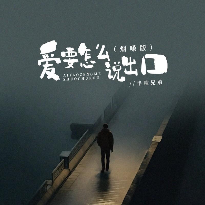 爱要怎么说出口封面