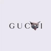 (可租)Lil GUCCI