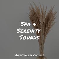 Spa & Serenity Sounds For Dogs