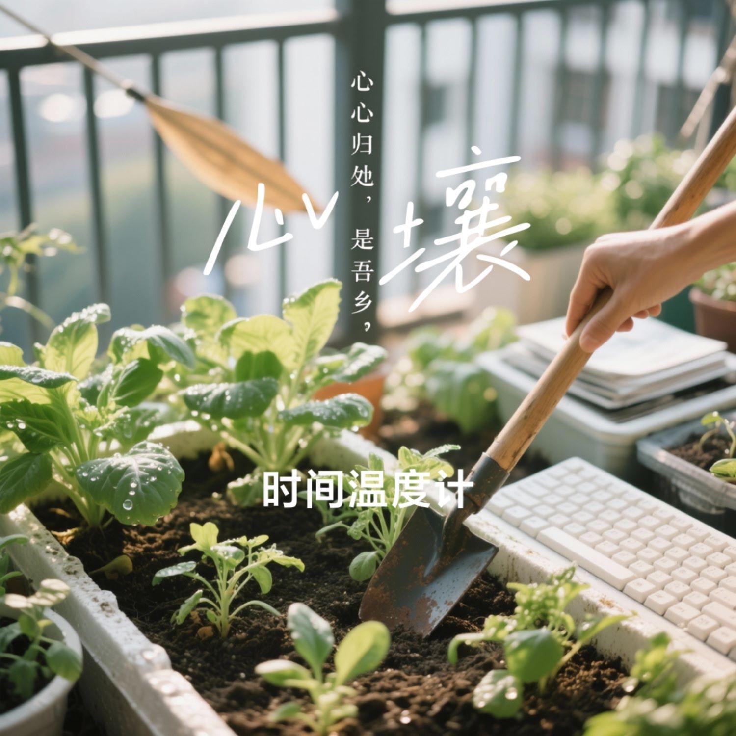 南冥不等风封面