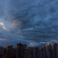 心碎的草莓蛋挞