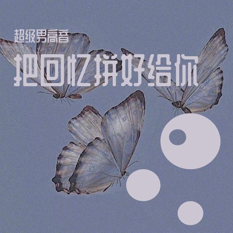 痴情岁月封面