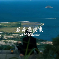 若月亮没来（DJ阿智Remix）