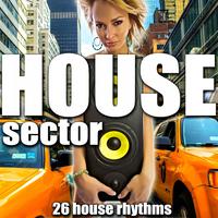 House Sector