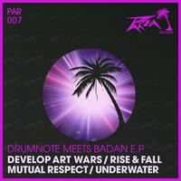 Drumnote meets Badan EP