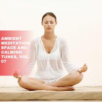 Ambient Meditation Space and Calming Tunes, Vol. 07