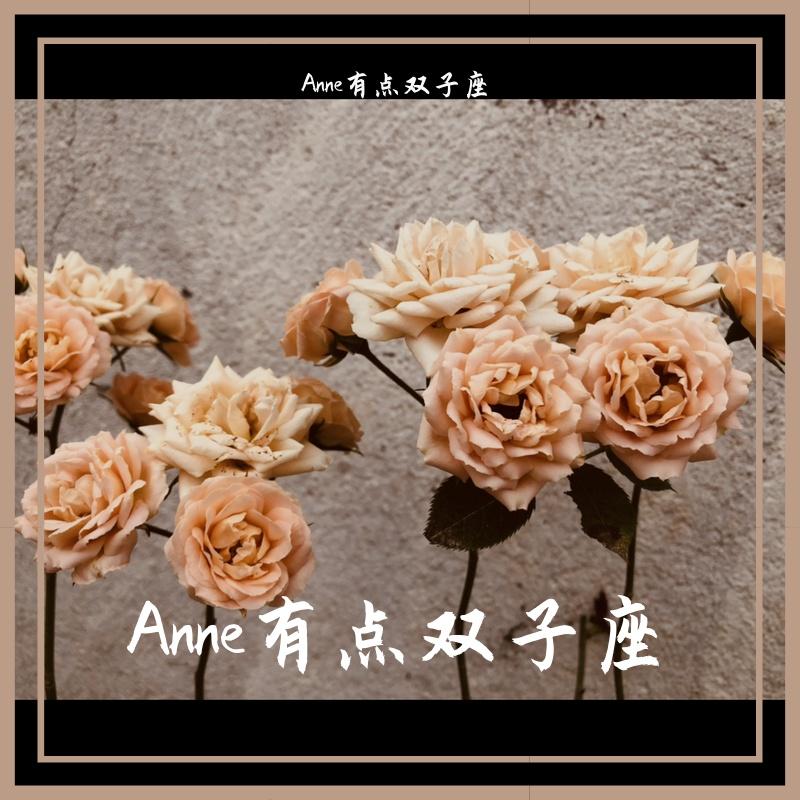每分每秒封面