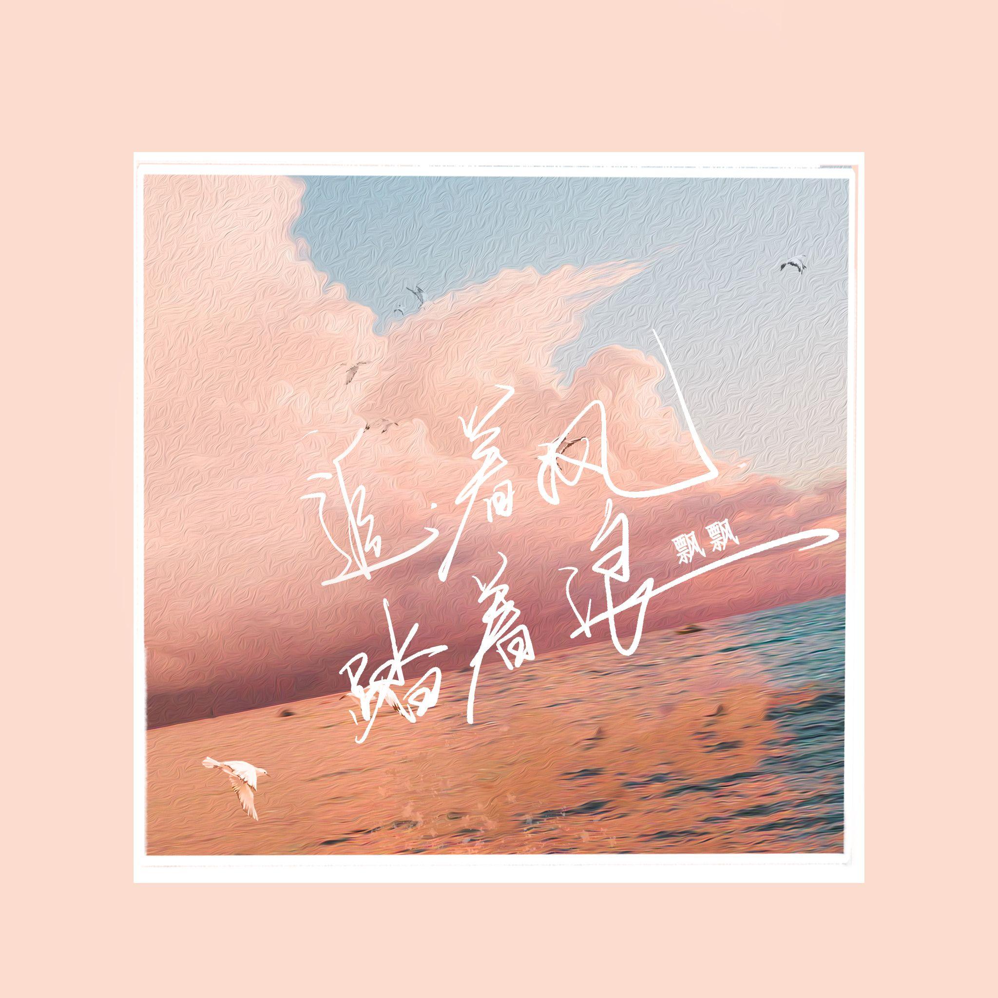 追着风踏着浪封面