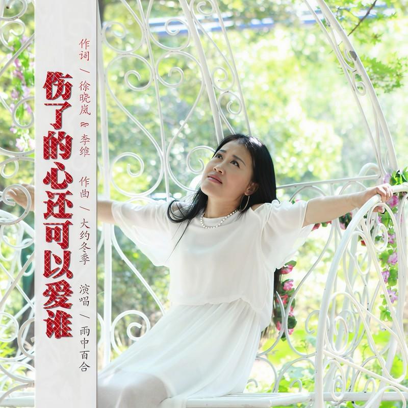 伤了的心还可以爱谁 (伴奏)封面