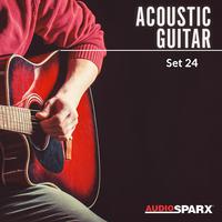 Acoustic Guitar, Set 24