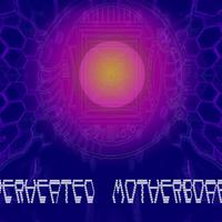 Alien Octopus资料,Alien Octopus最新歌曲,Alien OctopusMV视频,Alien Octopus音乐专辑,Alien Octopus好听的歌