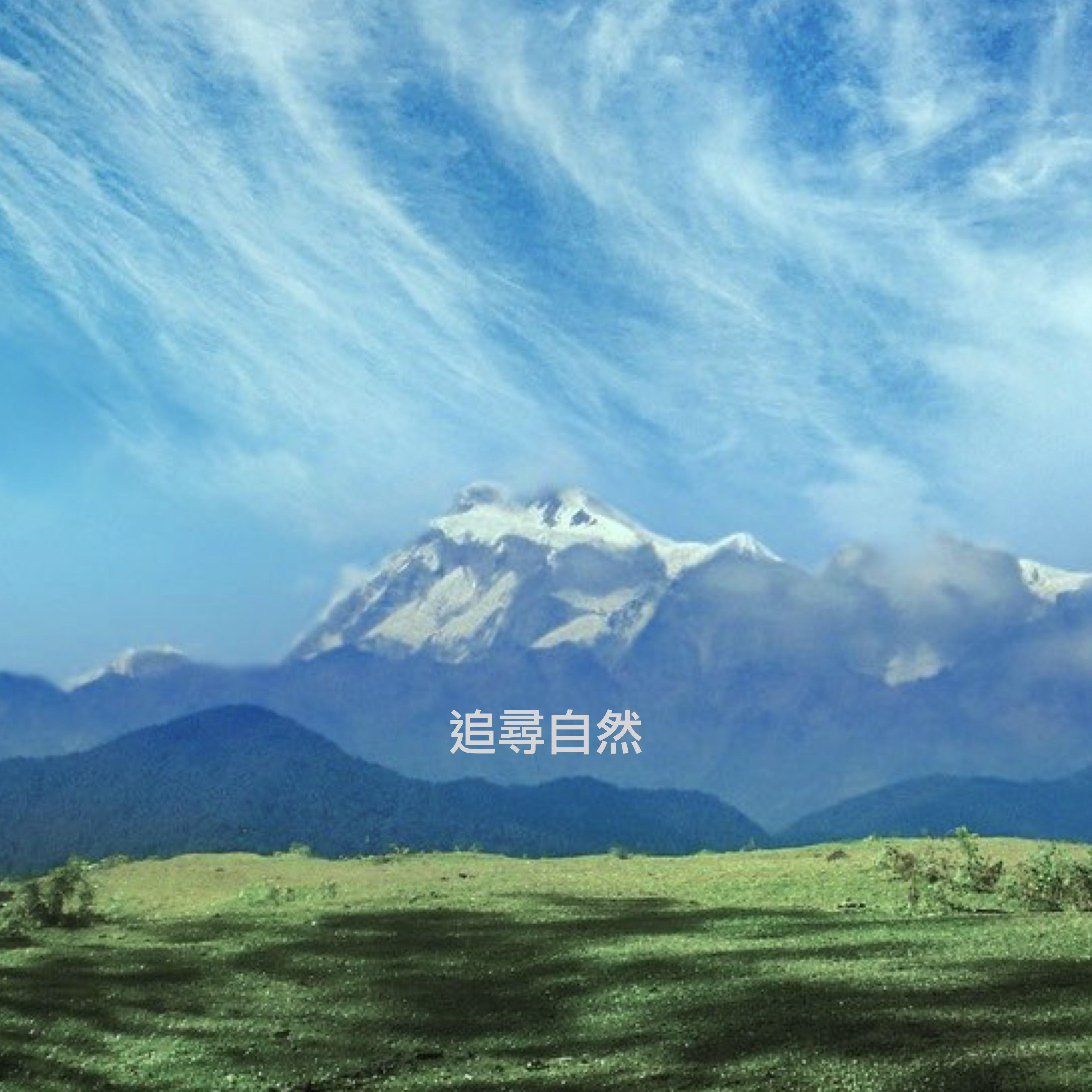 蟲鳴鳥叫封面
