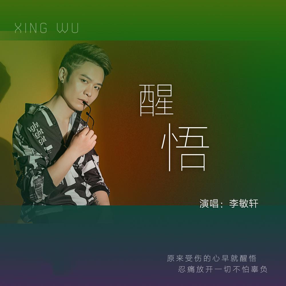 醒悟封面