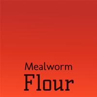 Mealworm Flour