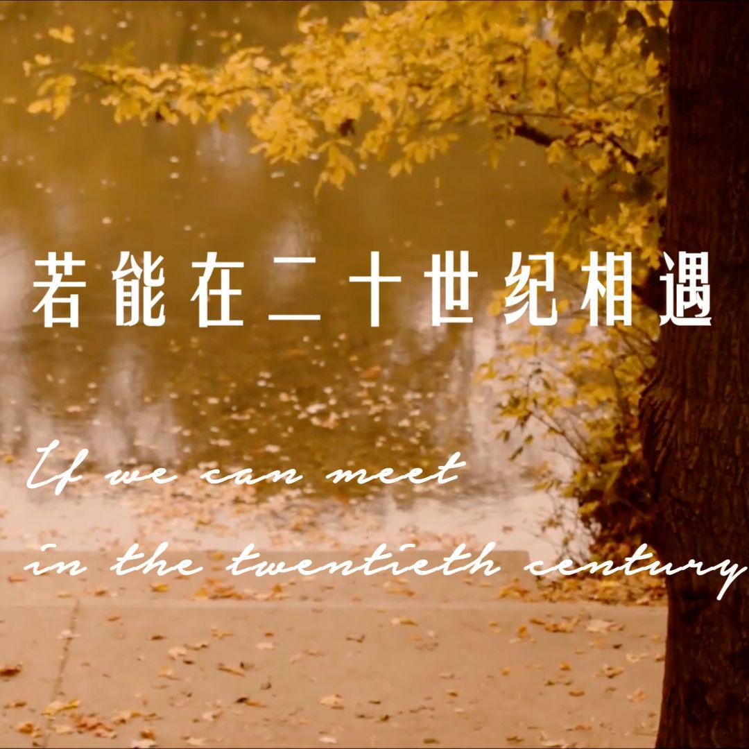 若能在二十世纪相遇封面