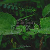 Satori Aura: Enlightenment's Emanation over 100 Minimal Meditations