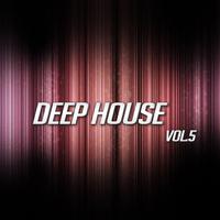 Deep House Vol.5