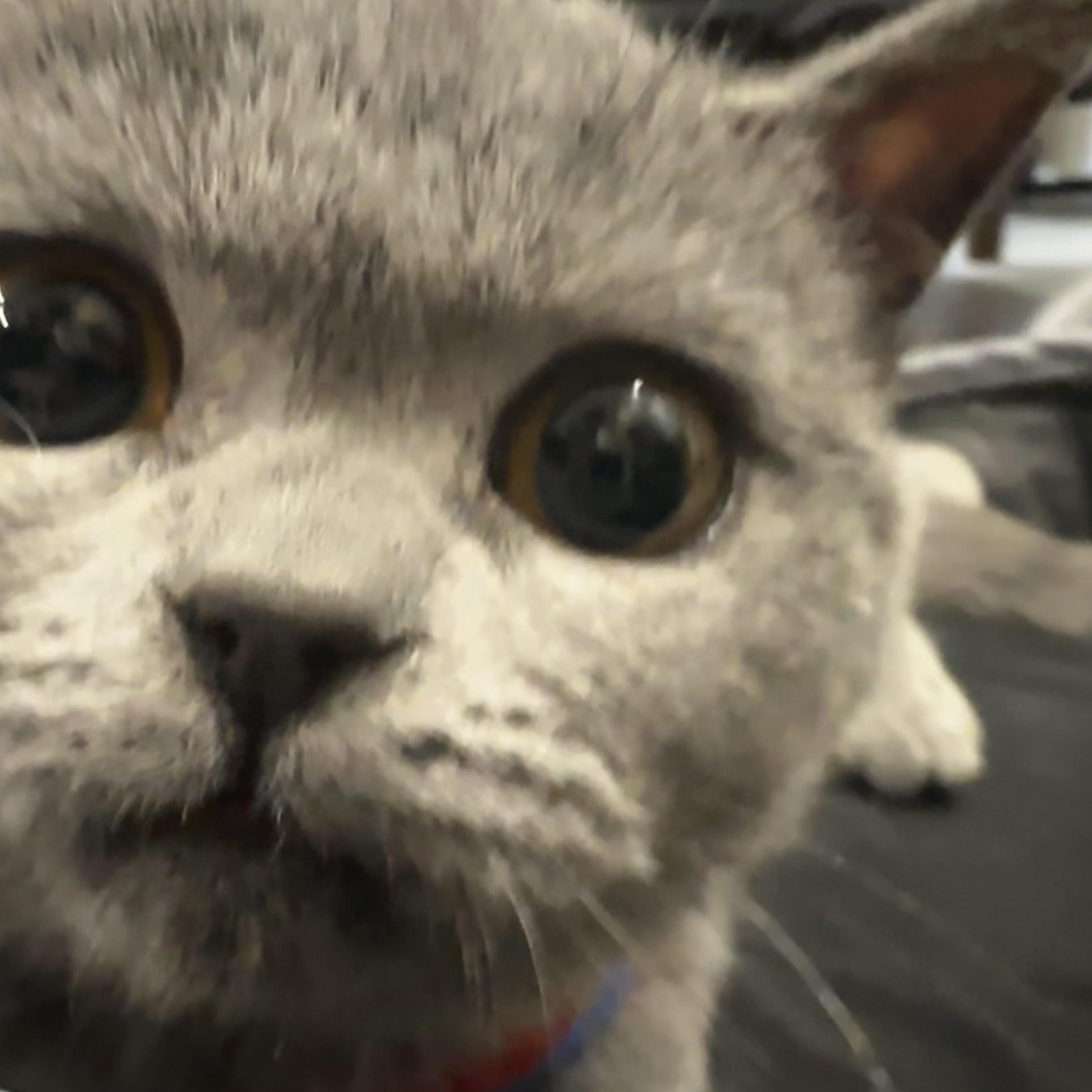 DJ'Fs-one more time X losing it（remix）（DJ'Fs remix）