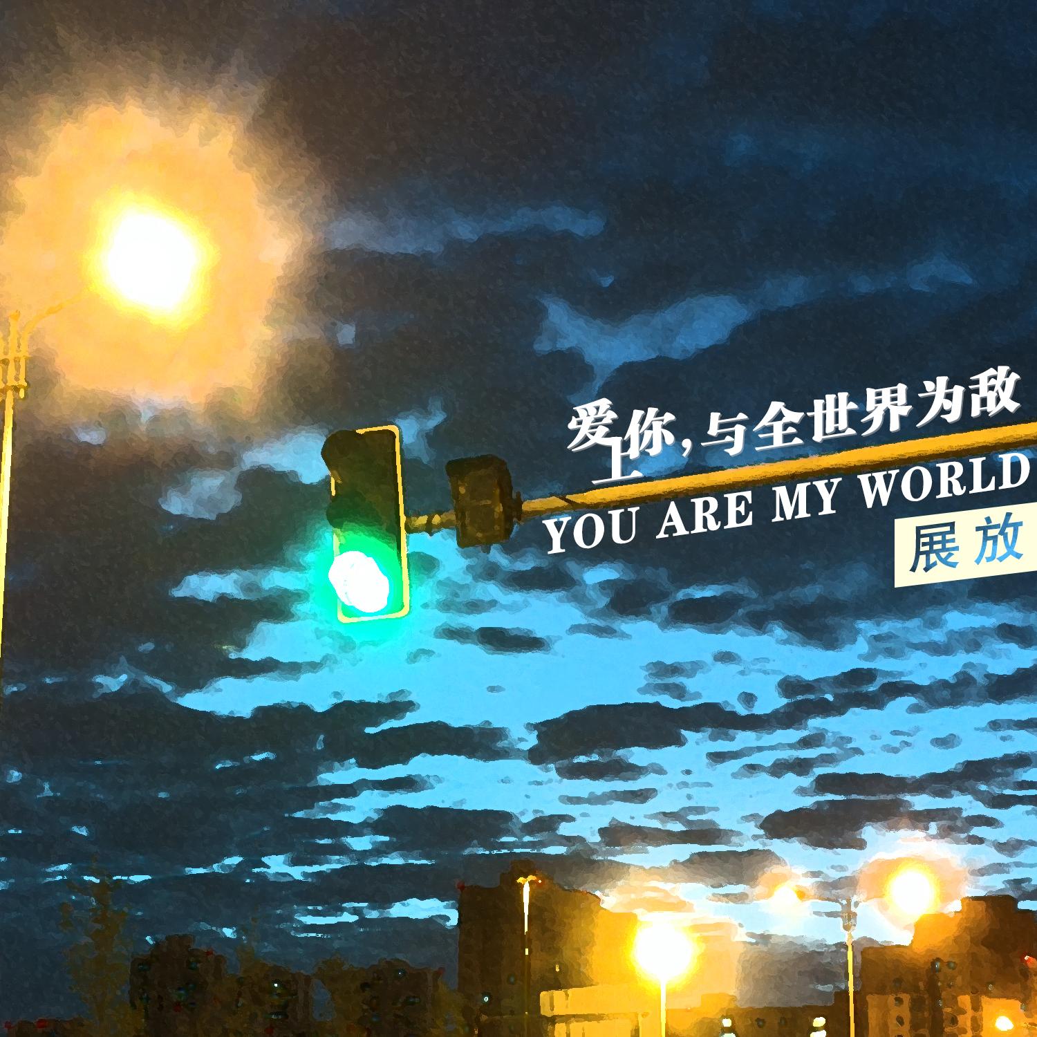 爱上你，与全世界为敌 (伴奏)封面