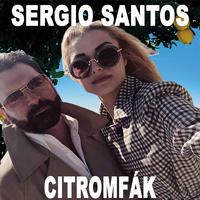 Citromfák (feat. Virág)