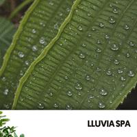 Lluvia Spa: Liquid Slumber