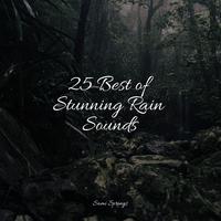 25 Best of Stunning Rain Sounds