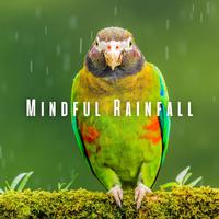 Mindful Rainfall: Study with Nature's Birds and Chill Music