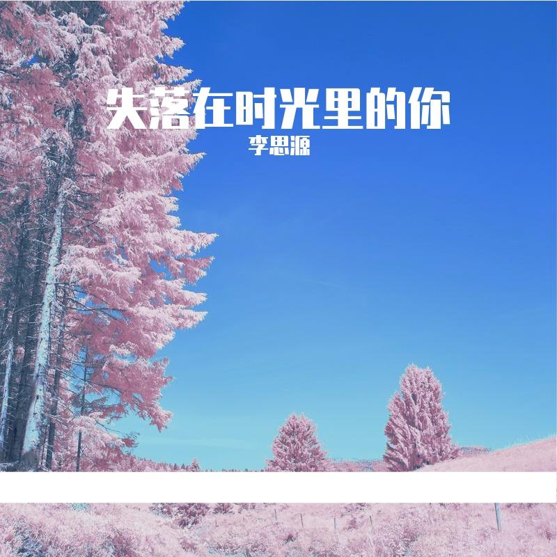 破碎承诺封面