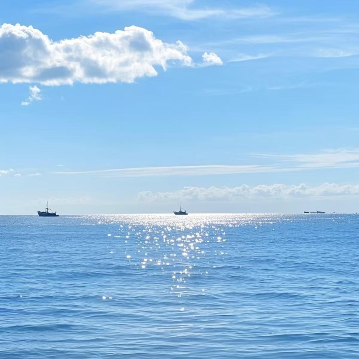 海阔天空尾奏封面