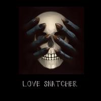 Love Snatcher