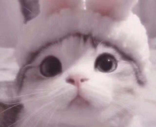 柯柯