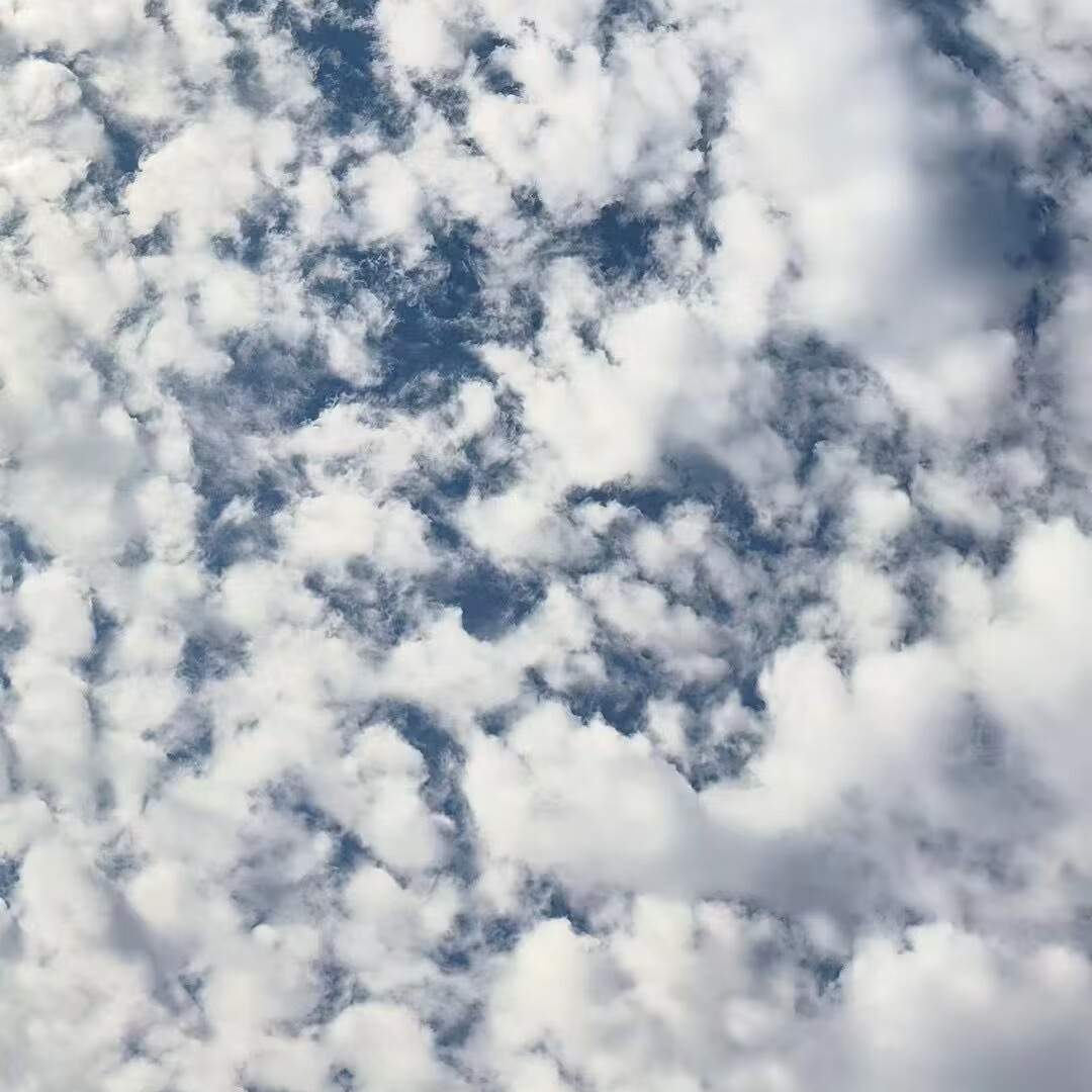 星星泪 伴奏封面