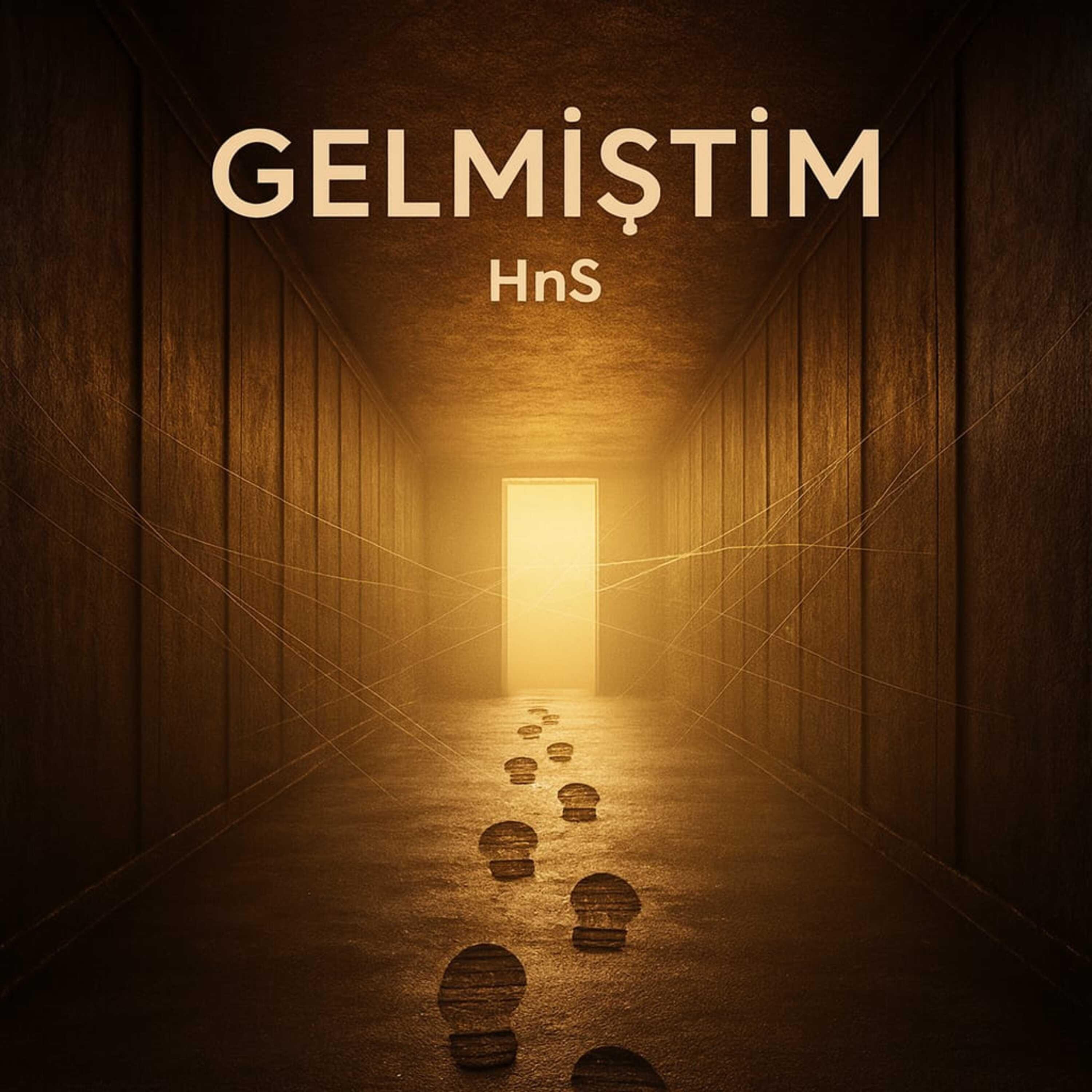 Gelmiştim