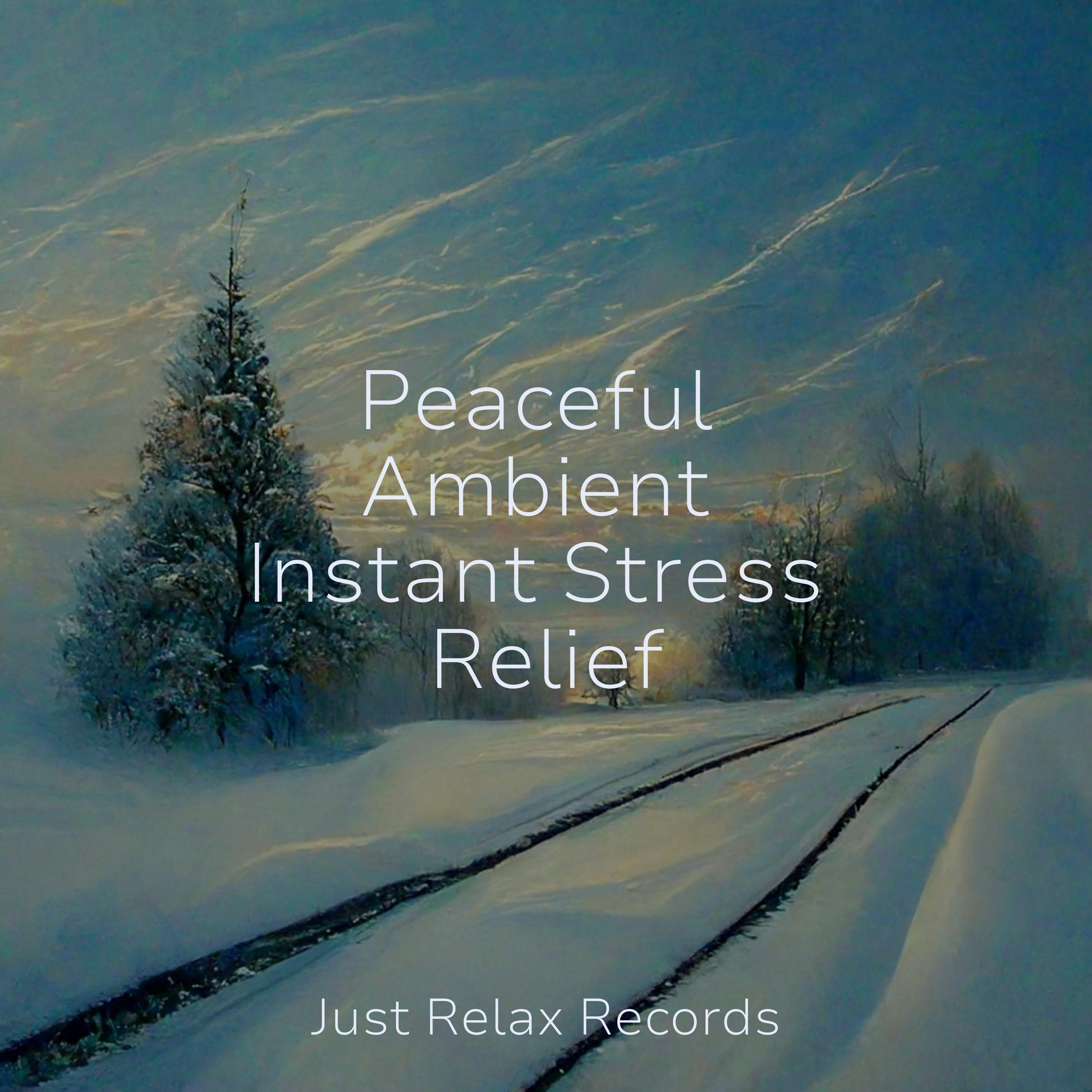 Instant Stress Relief: Your Local Massage Sanctuary Awaits - 5hczbqj