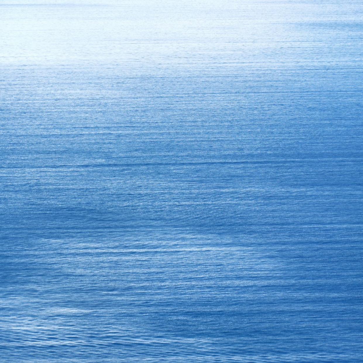 Pale blue （淡蓝色）