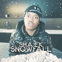 Snowfall (feat. Sha Ekk)