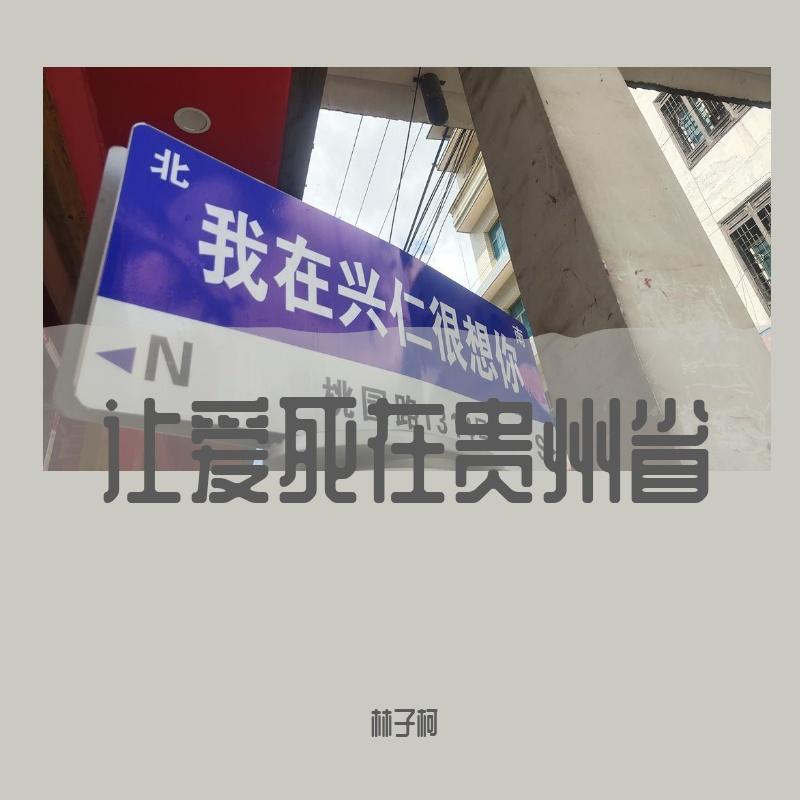 没有你的六盘水 - 林子柯封面