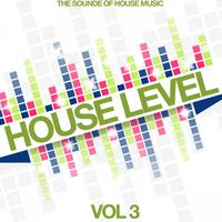 House Level, Vol. 3