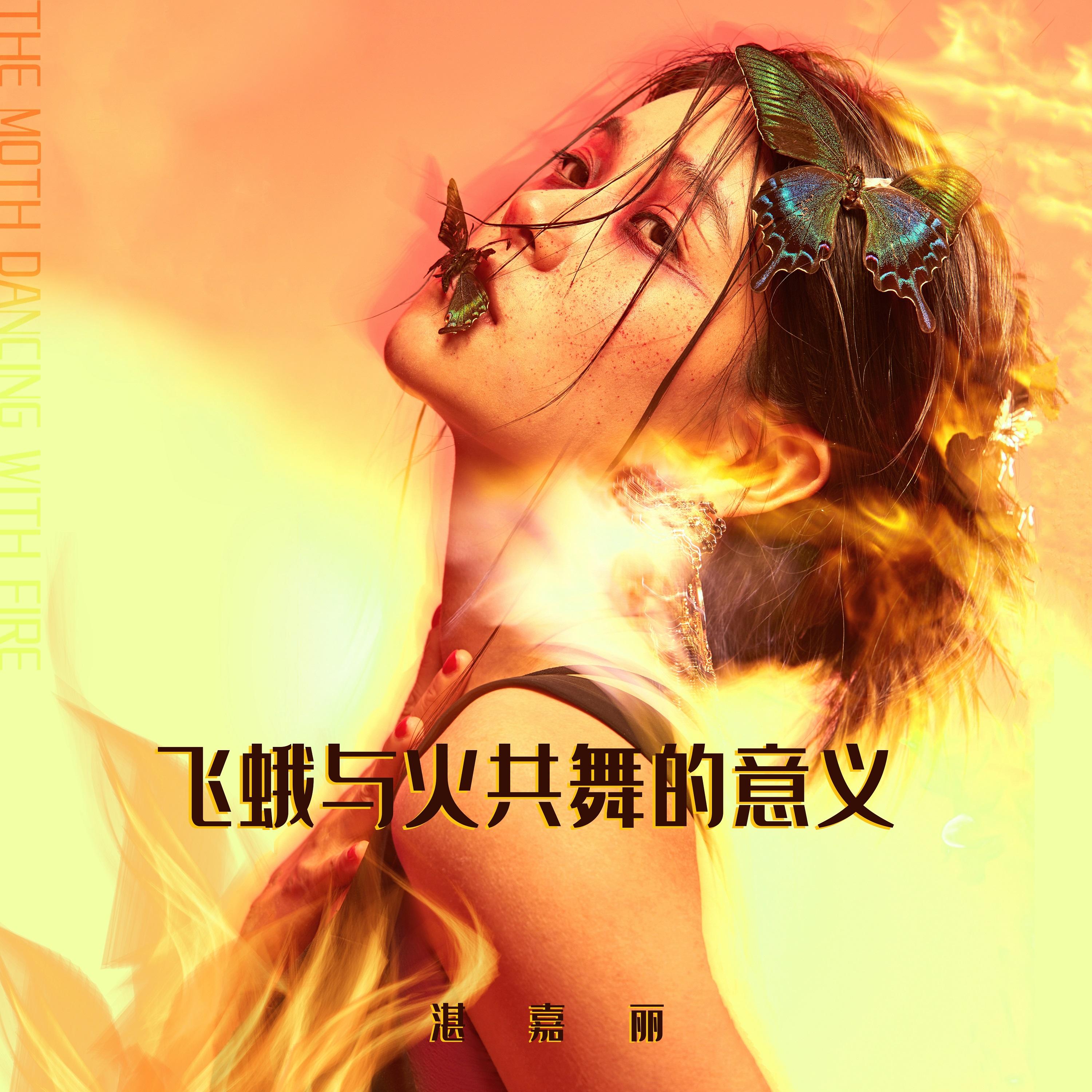 飞蛾与火共舞的意义封面