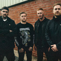 Halcyon Days资料,Halcyon Days最新歌曲,Halcyon DaysMV视频,Halcyon Days音乐专辑,Halcyon Days好听的歌