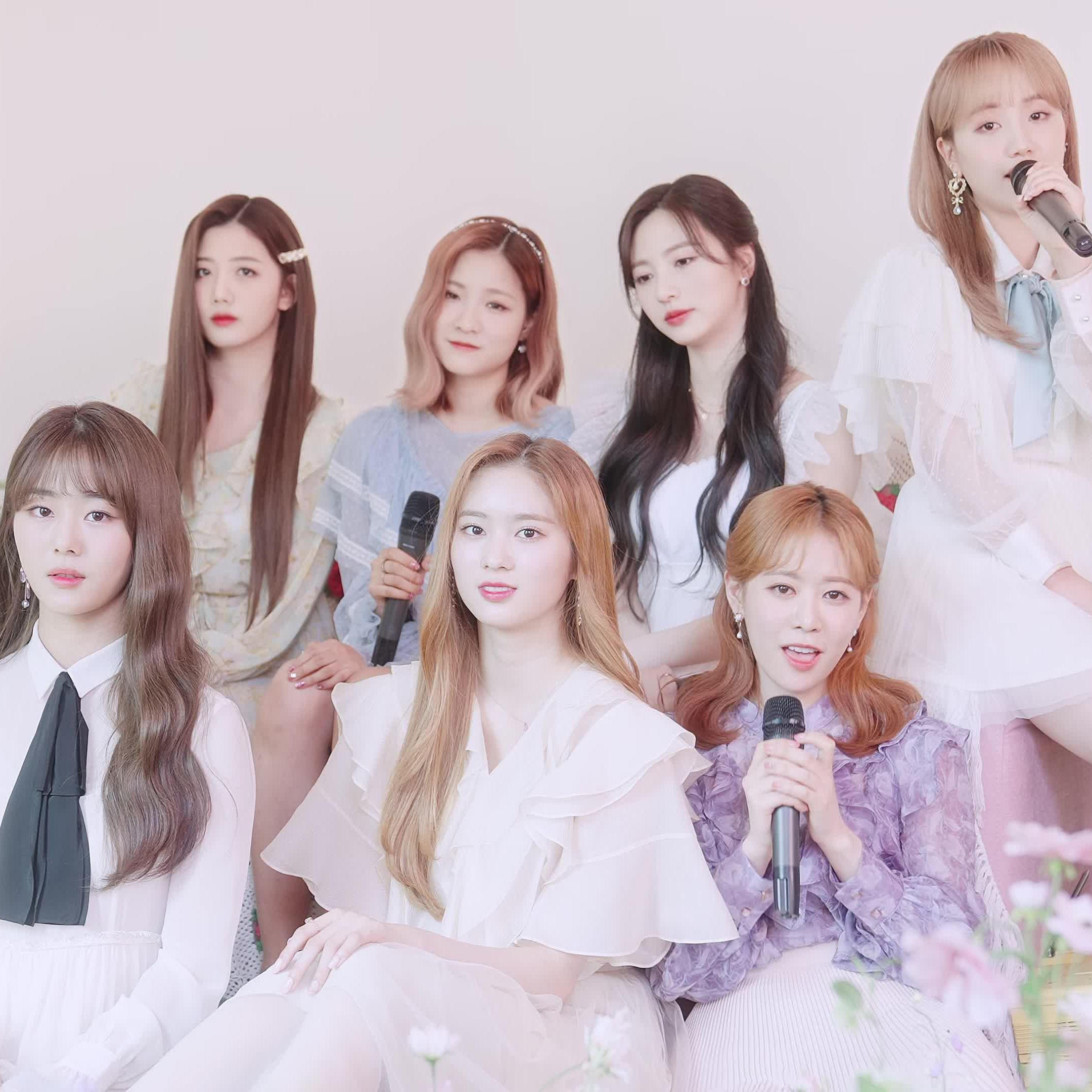 봄날 (Spring Day) Cover Ver.