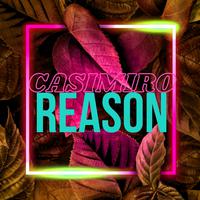 Reason (feat. Skyrick) [Special Version]