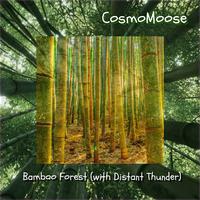 Bamboo Forest (With Distant Thunder)