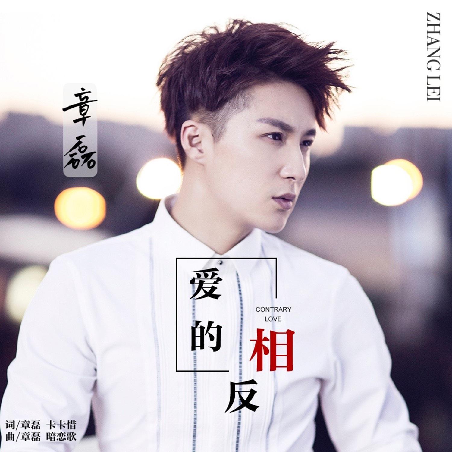爱的相反 (DJ版伴奏)封面