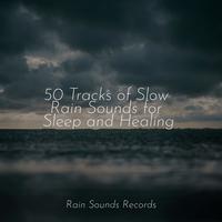 50 Tracks of Slow Rain Sounds for Sleep and Healing