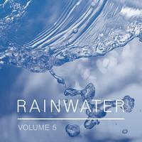 Rainwater, Vol. 5