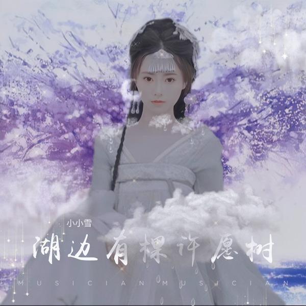 谁的眼泪在飞 (Live)封面